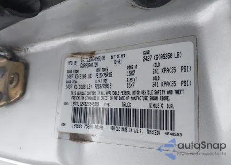 2002 Dodge Dakota из США, поврежденный, VIN 1B7GL12X02S545919